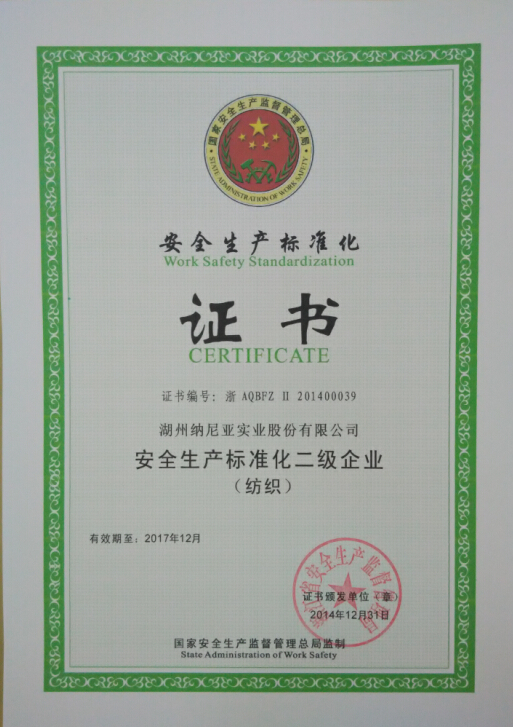 安全標(biāo)準(zhǔn)化二級.jpg